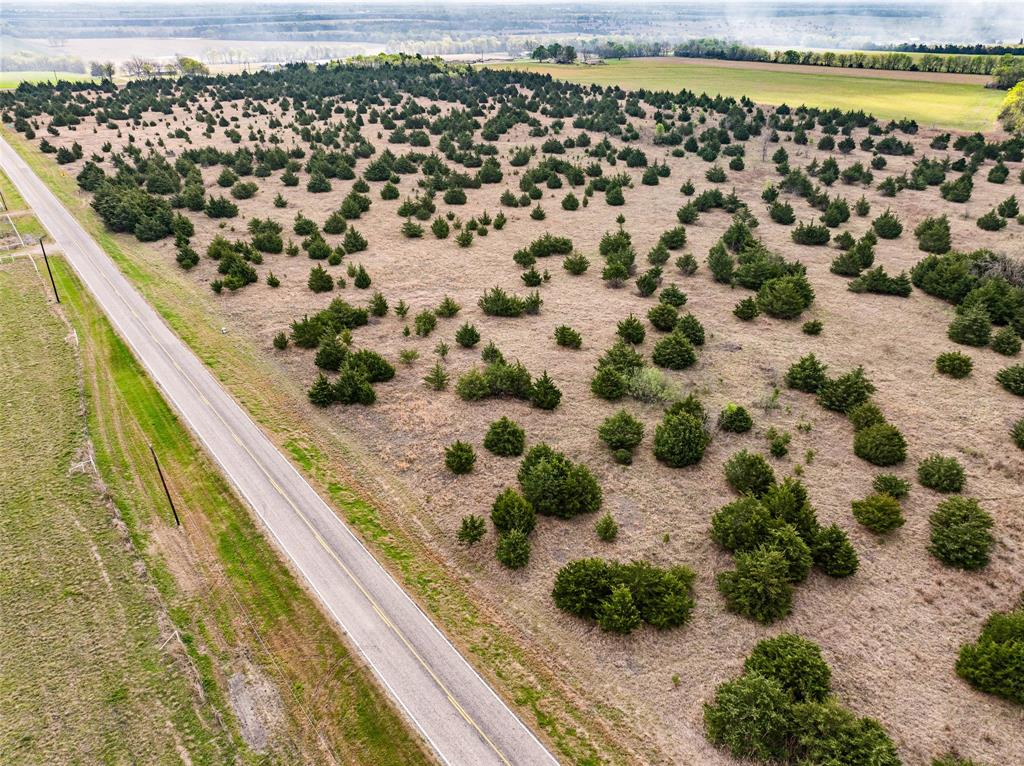TBD Lot 1 FM 128 - Photo 1