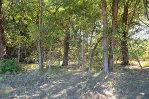 77 County Road 42351 - Photo 3