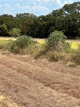 TBD Lot 1 & 2 Wolf Hollow - Photo 10