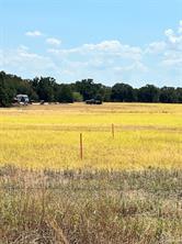 TBD Lot 1 & 2 Wolf Hollow - Photo 11