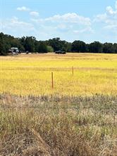 TBD Lot 1 & 2 Wolf Hollow - Photo 12