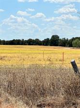 TBD Lot 1 & 2 Wolf Hollow - Photo 13