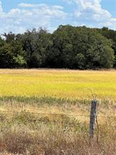 TBD Lot 1 & 2 Wolf Hollow - Photo 14