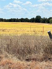 TBD Lot 1 & 2 Wolf Hollow - Photo 15