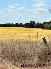 TBD Lot 1 & 2 Wolf Hollow - Photo 16