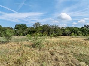 19120 White Bluff Drive - Photo 16