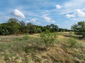 19120 White Bluff Drive - Photo 18