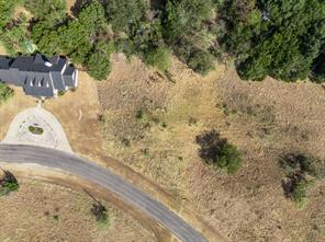 19120 White Bluff Drive - Photo 5