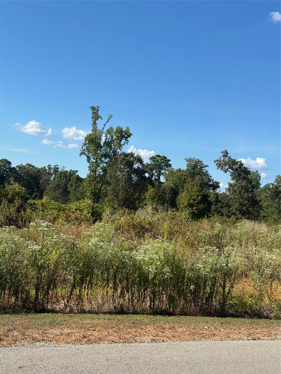 LOT 56 Ridgeline Loop - Photo 2