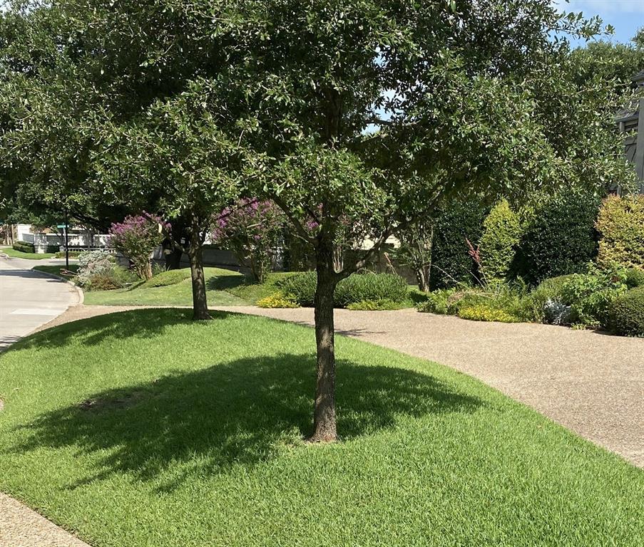 14320 Hughes Lane - Photo 7