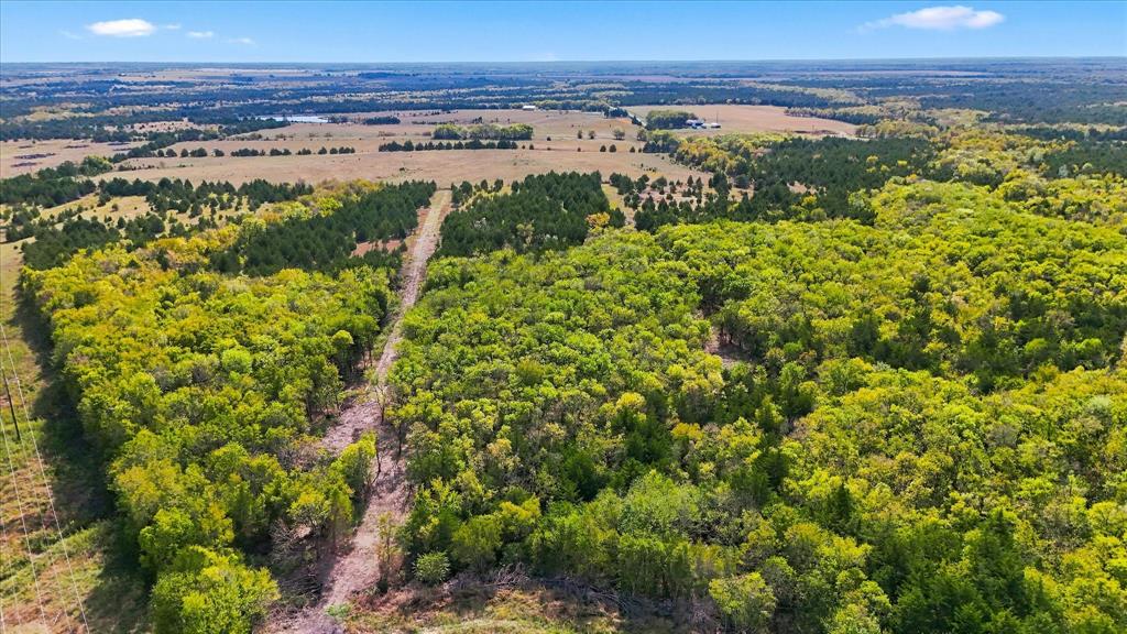 225-227 County Road 3731 - Photo 23