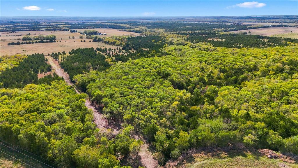 225-227 County Road 3731 - Photo 24