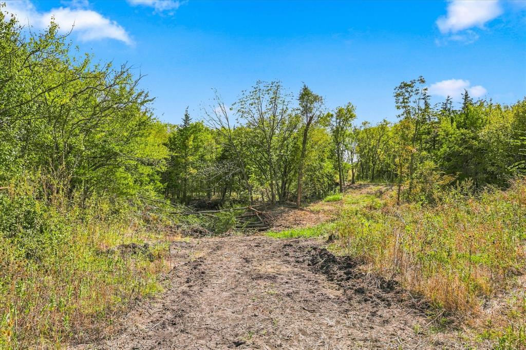 225-227 County Road 3731 - Photo 27