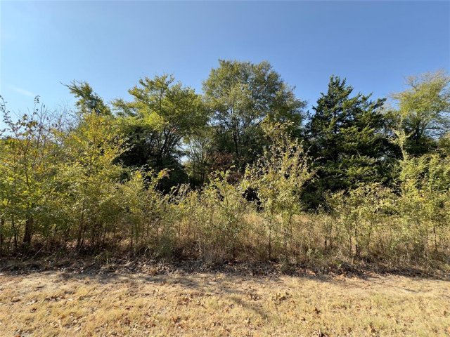 Lot 19 Tanglewood Drive