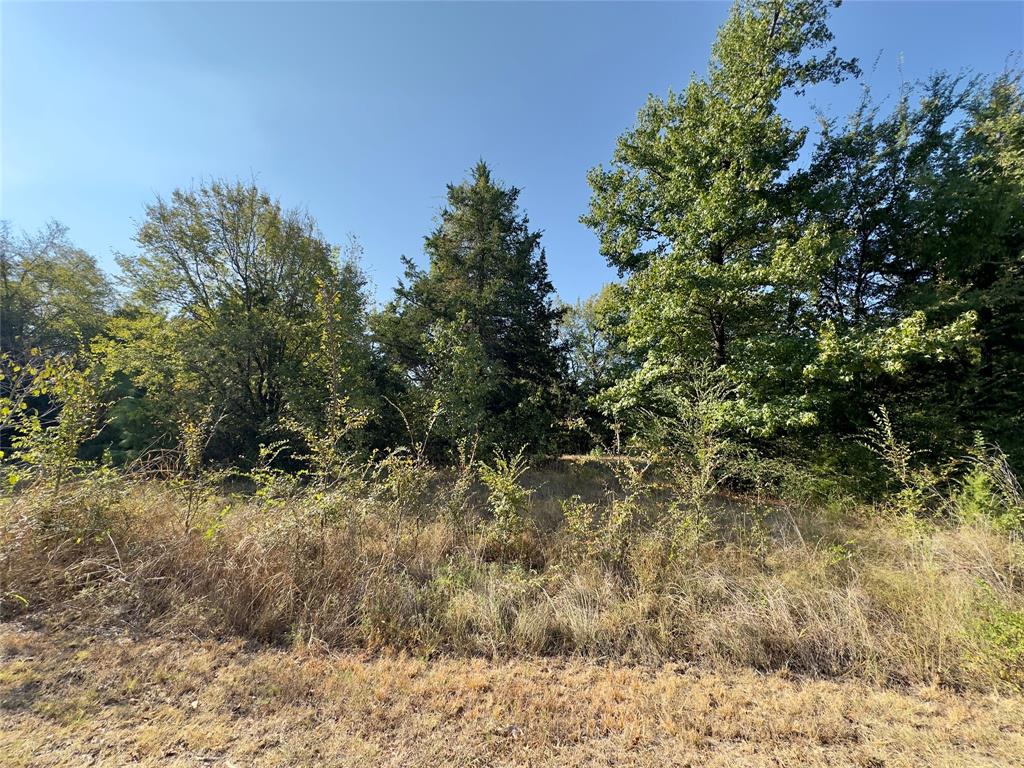 Lot 19 Tanglewood Drive - Photo 2