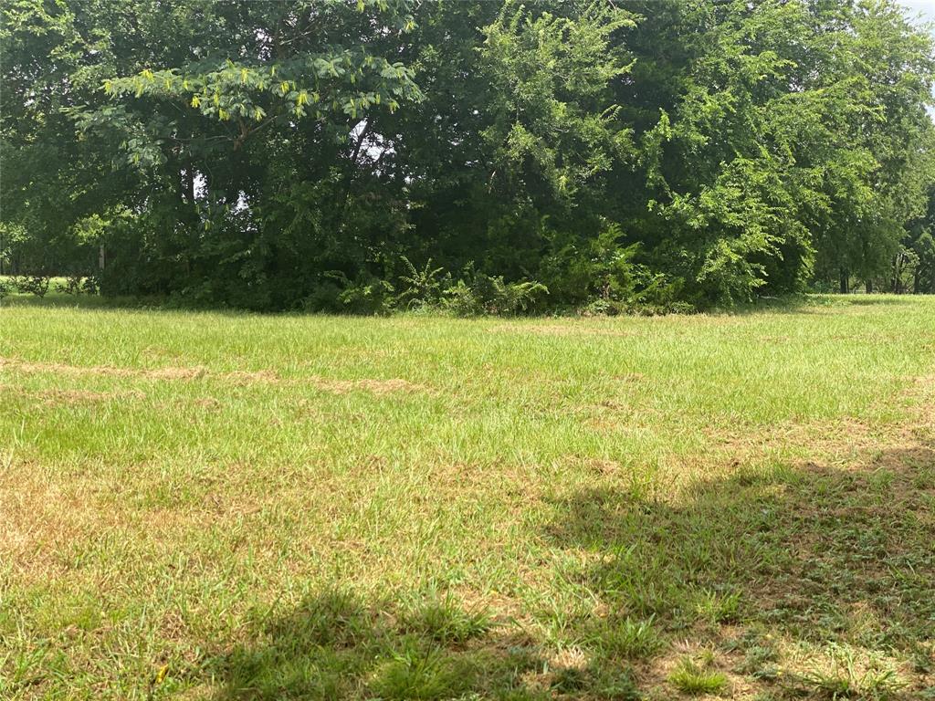 111 Barnes Bridge - Photo 13