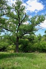 588 S County Road 430 - Photo 19