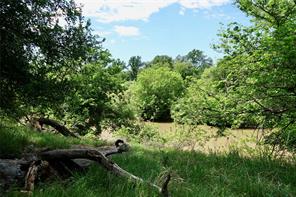588 S County Road 430 - Photo 7