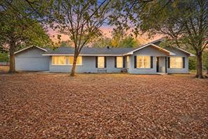 102 Old Pecan