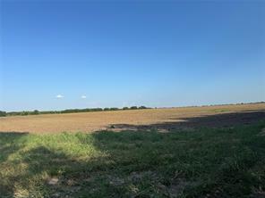 TBD Tract 2, 12Acres County 3060 - Photo 16