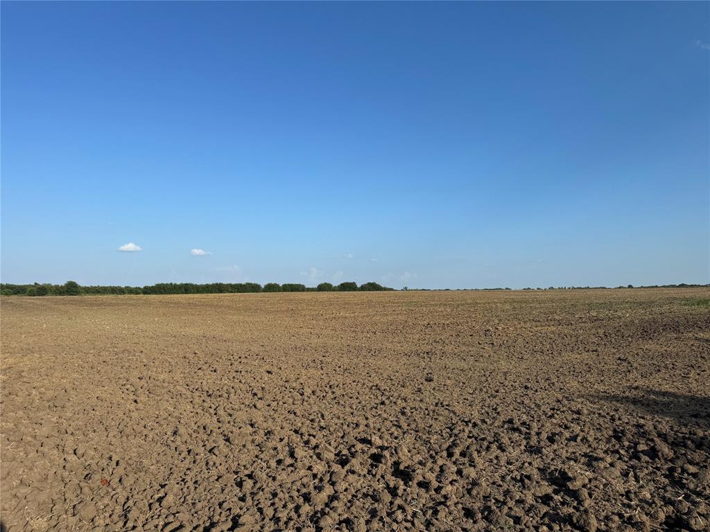 TBD Tract 4, 11.862Acres County 3060 - Photo 12