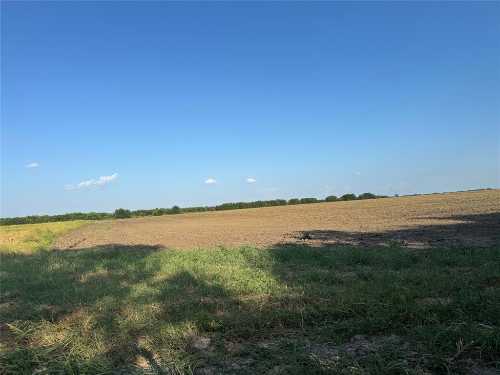 TBD Tract 4, 11.862Acres County 3060 - Photo 15