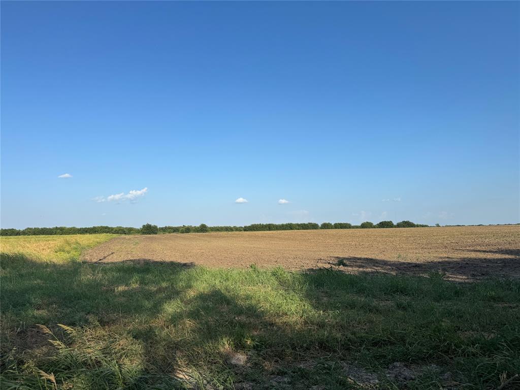 TBD Tract 4, 11.862Acres County 3060 - Photo 17