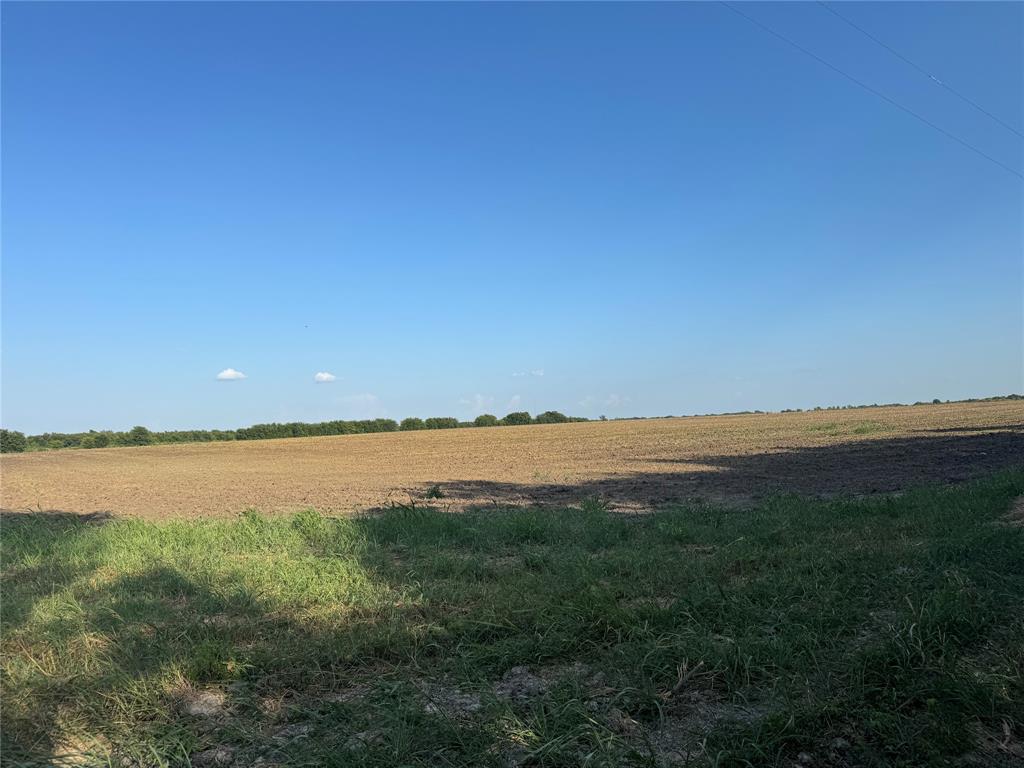 TBD Tract 4, 11.862Acres County 3060 - Photo 18