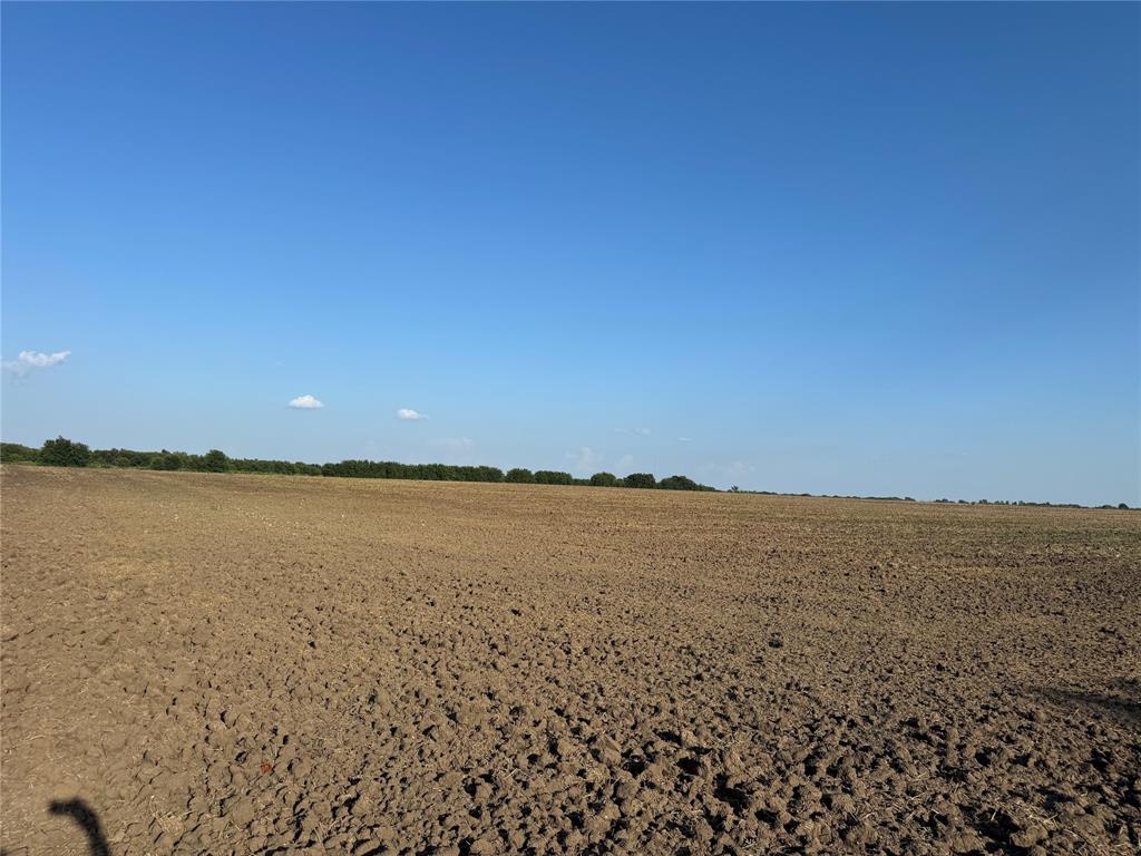 TBD Tract 4, 11.862Acres County 3060 - Photo 8