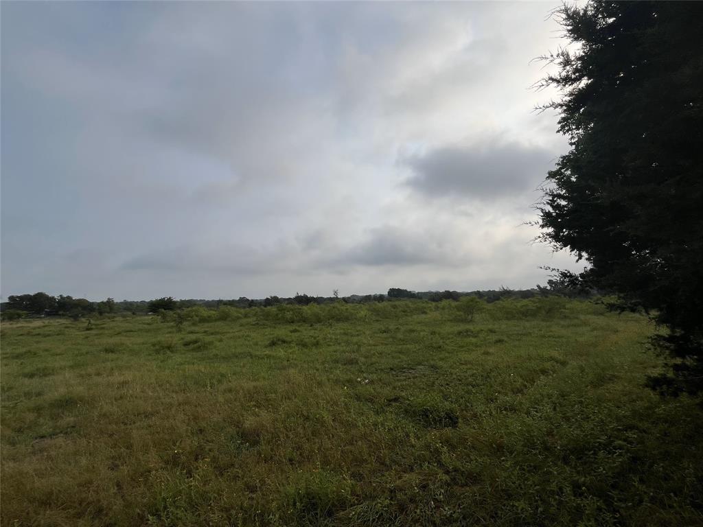 TBD W HWY 84 - Photo 1