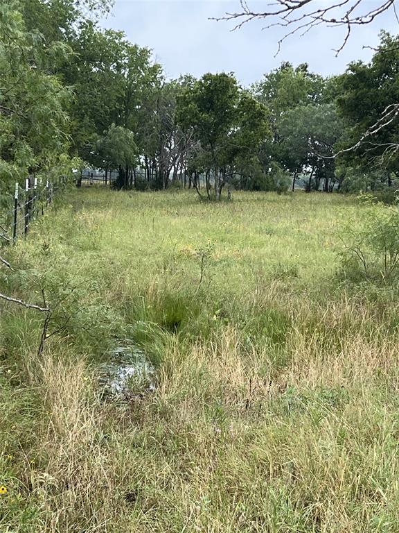 TBD W HWY 84 - Photo 7