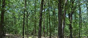 000 Pecan Bend - Photo 2