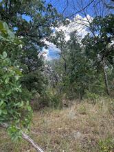 4 Haynie Drive - Photo 2