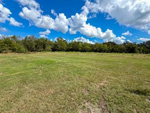 00 CR 3620 - Photo 13