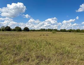 00 CR 3620 - Photo 16