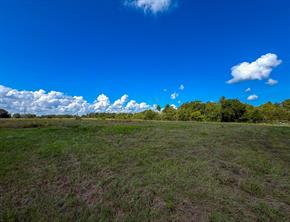 00 CR 3620 - Photo 21