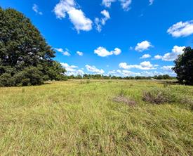 00 CR 3620 - Photo 22