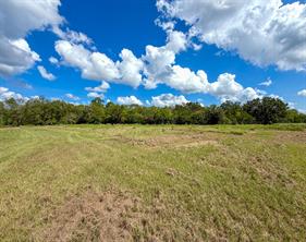 00 CR 3620 - Photo 23