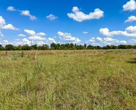 00 CR 3620 - Photo 24