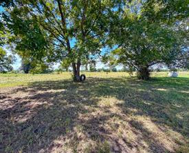 00 CR 3620 - Photo 6