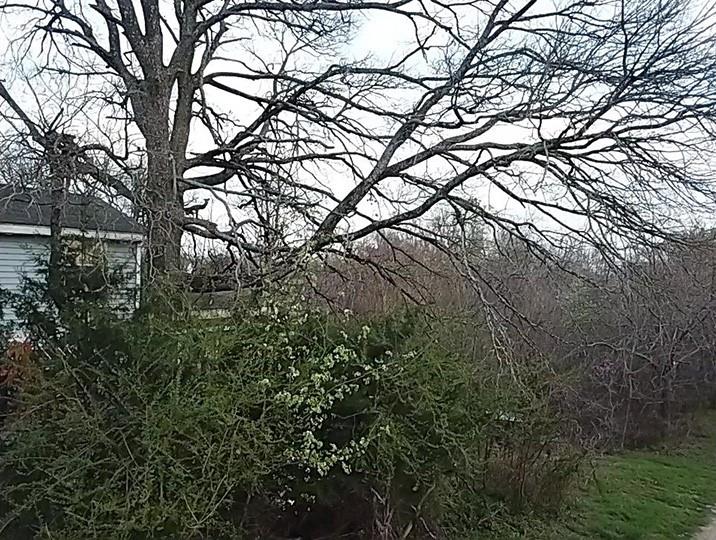 4257 Shadow Lane - Photo 9