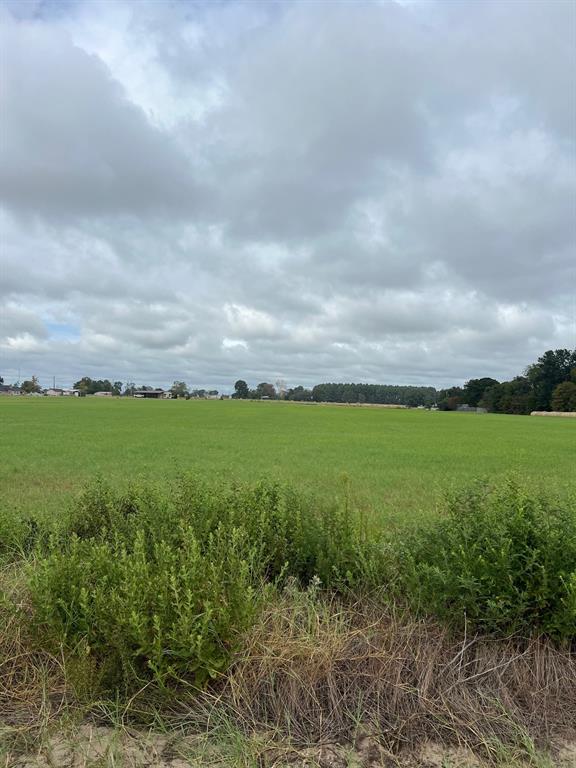 14018 COUNTY ROAD 4122 - Photo 1