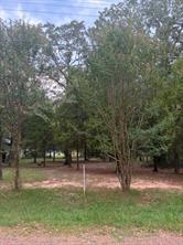 000 Jim Bowie Lane - Photo 2