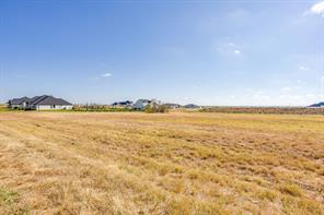 12520 Bella Quinn Drive - Photo 14