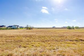 12520 Bella Quinn Drive - Photo 16