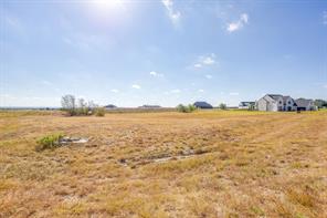12520 Bella Quinn Drive - Photo 17