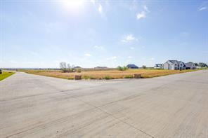 12520 Bella Quinn Drive - Photo 18