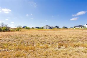 12520 Bella Quinn Drive - Photo 19