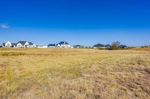 12520 Bella Quinn Drive - Photo 21