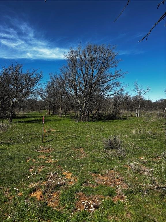 382 High Plains Court